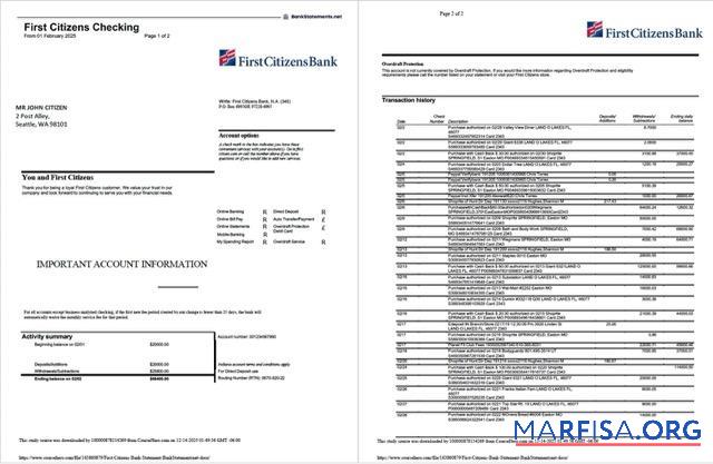 Blank USA First Citizens bank statement word 2 pages download for verification